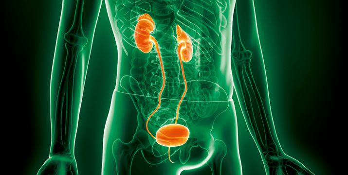 Neue Option für die Therapie beim Harnblasenkarzinom